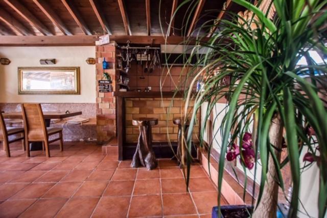El Cortijo Escana Es Cana Εξωτερικό φωτογραφία